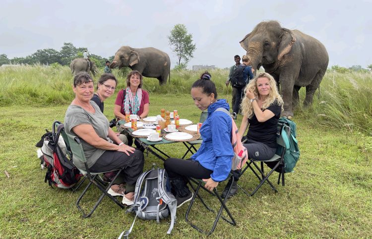 Nepal - Frauengruppe - Chitwan - Elephants of Sapana