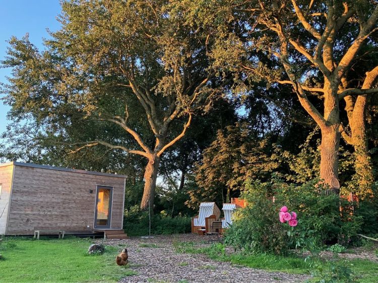 Sauna im Garten mit Huhn
